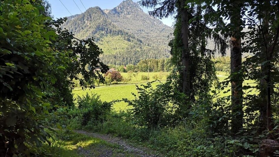 Hiking route Landler Country walk #9 - Touren-Impression #2.8 | © TV Gesäuse