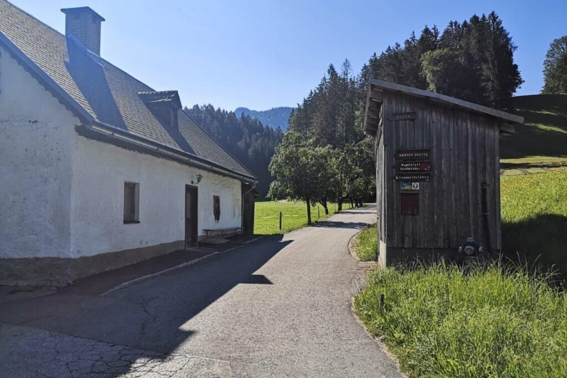 Hiking route Landler Country walk #9 - Touren-Impression #1 | © TV Gesäuse