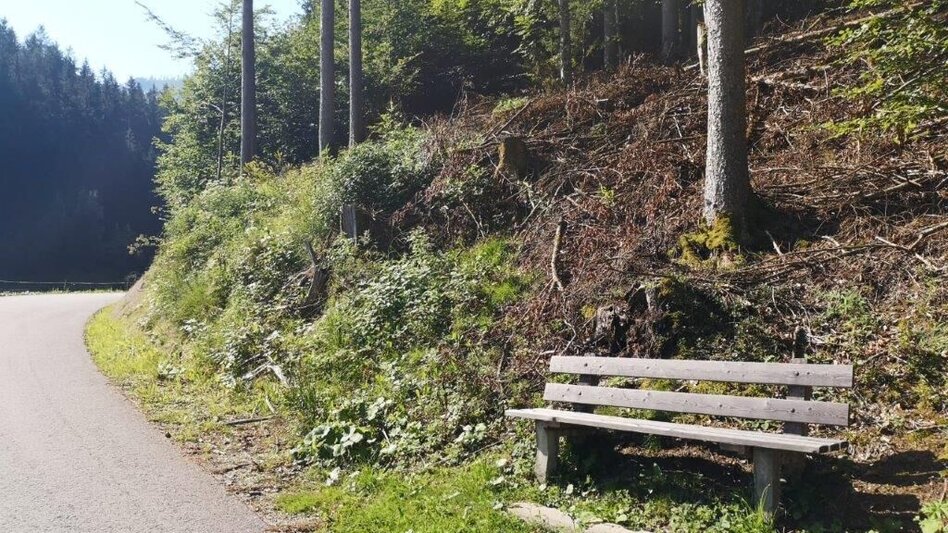 Hiking route Landler Country walk #9 - Touren-Impression #2.2 | © TV Gesäuse
