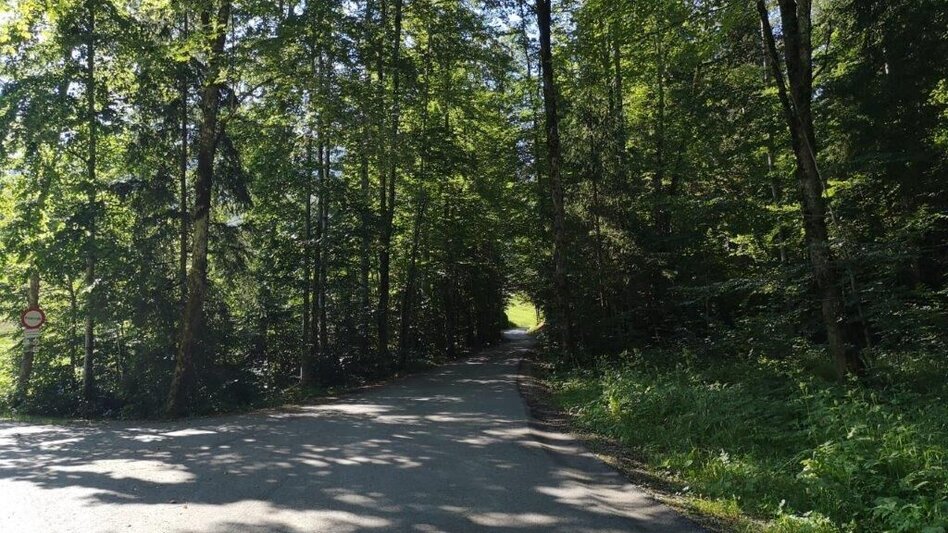 Hiking route Landler Country walk #9 - Touren-Impression #2.3 | © TV Gesäuse