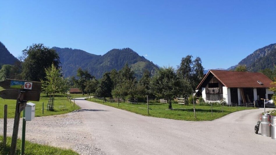 Hiking route Landler Country walk #9 - Touren-Impression #2.5 | © TV Gesäuse