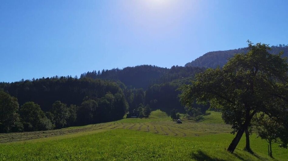 Hiking route Landler Country walk #9 - Touren-Impression #2.6 | © TV Gesäuse