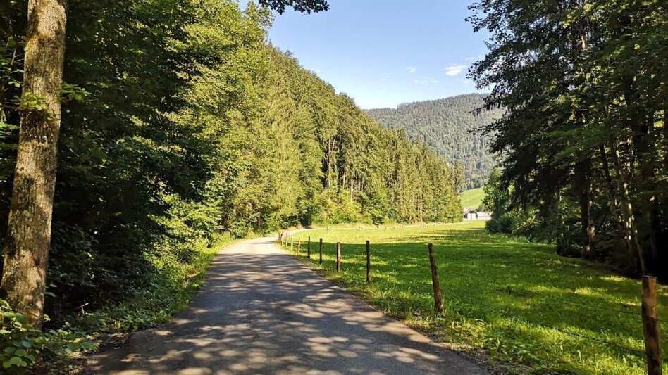 Hiking route Landler Country walk #9 - Touren-Impression #2.12 | © TV Gesäuse