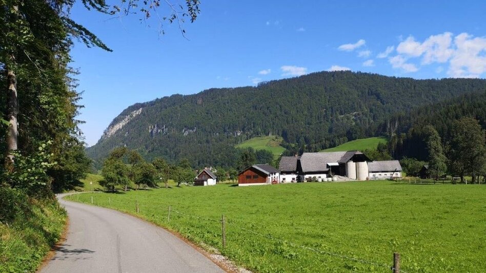 Hiking route Landler Country walk #9 - Touren-Impression #2.13 | © TV Gesäuse