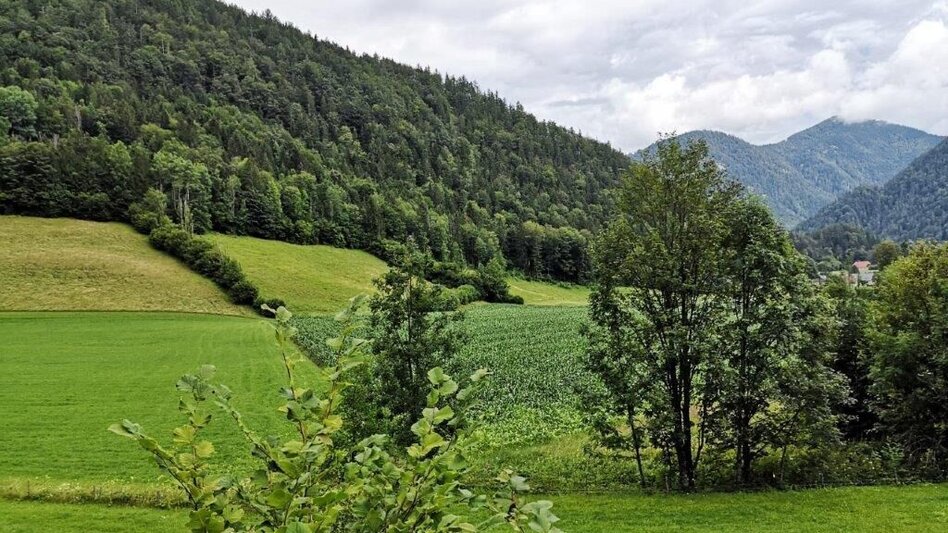 Hiking route Landler Country walk #10 - Touren-Impression #2.2 | © TV Gesäuse