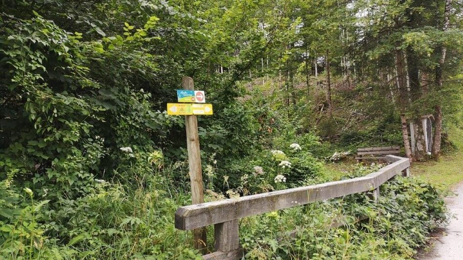 Hiking route Landler Country walk #10 - Touren-Impression #2.4 | © TV Gesäuse