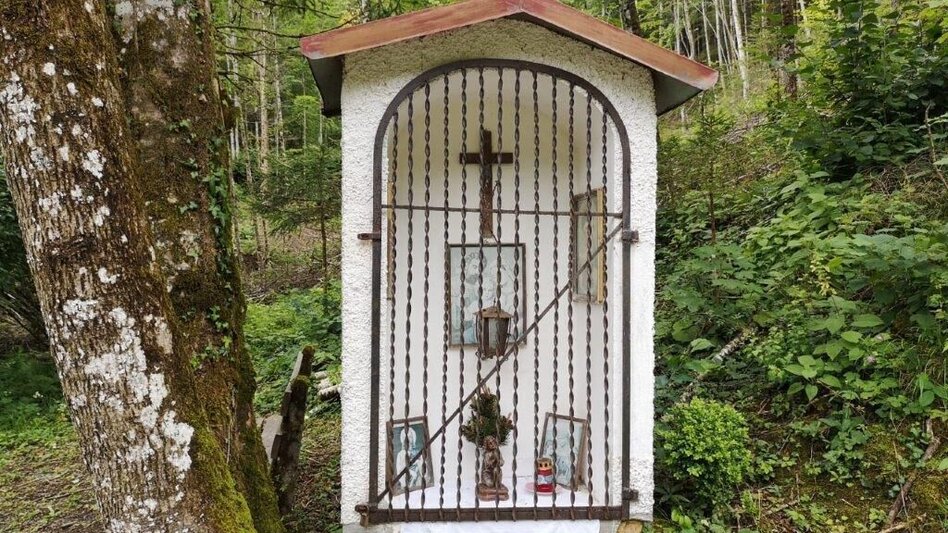 Hiking route Landler Country walk #10 - Touren-Impression #2.6 | © TV Gesäuse