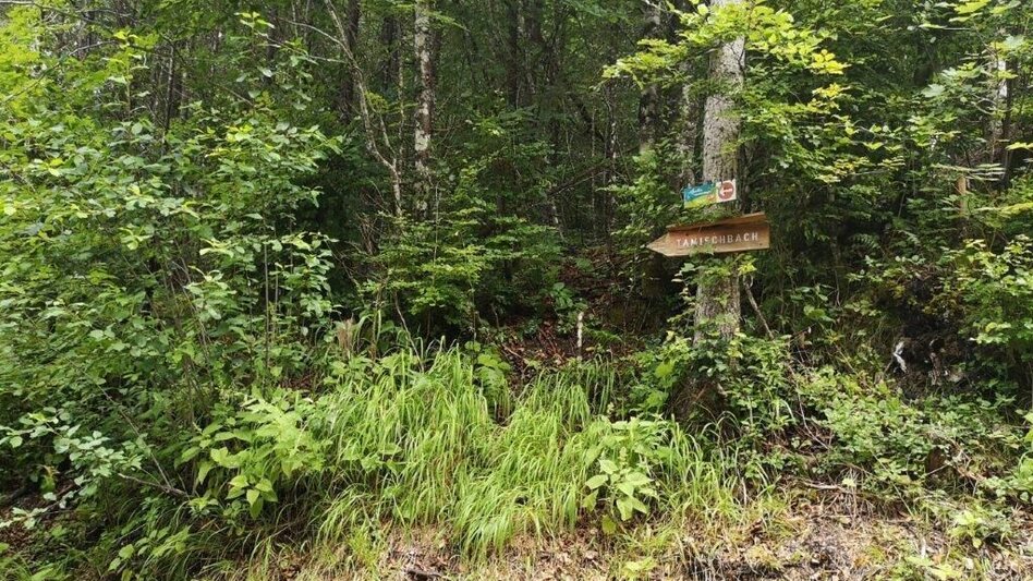 Hiking route Landler Country walk #10 - Touren-Impression #2.7 | © TV Gesäuse