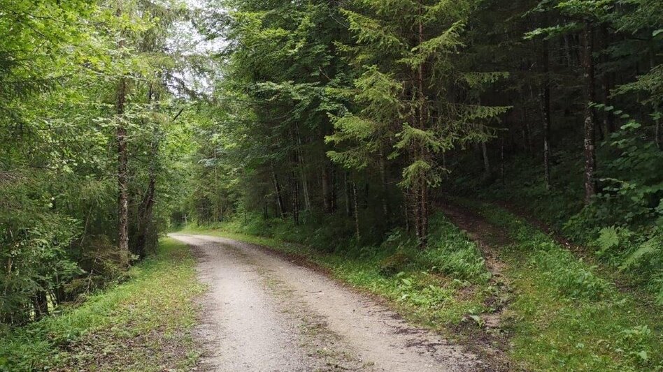 Hiking route Landler Country walk #10 - Touren-Impression #2.10 | © TV Gesäuse
