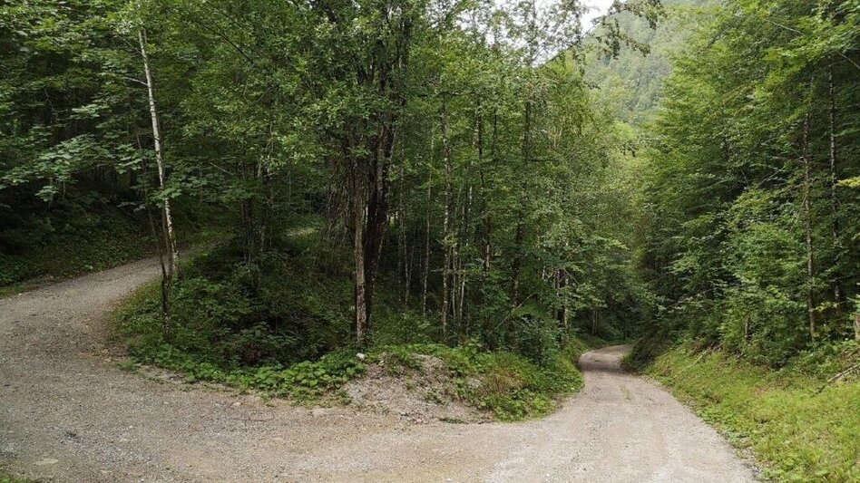 Hiking route Landler Country walk #10 - Touren-Impression #2.11 | © TV Gesäuse