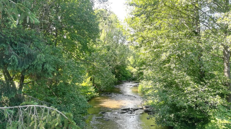 Wanderung Rund um den Stainzbach Nr. 6 - Touren-Impression #2.1 | © TVB Südsteiermark/Irene Löschnig