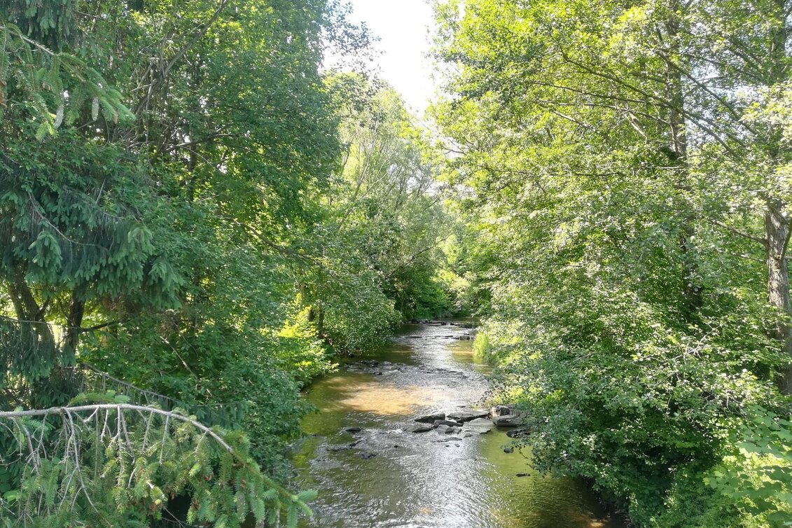 Wanderung Rund um den Stainzbach Nr. 6 - Touren-Impression #1 | © TVB Südsteiermark/Irene Löschnig