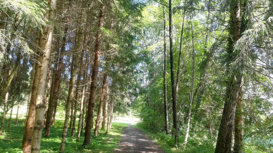 Wanderung Rund um den Stainzbach Nr. 6 - Touren-Impression #2.5 | © TVB Südsteiermark/Irene Löschnig