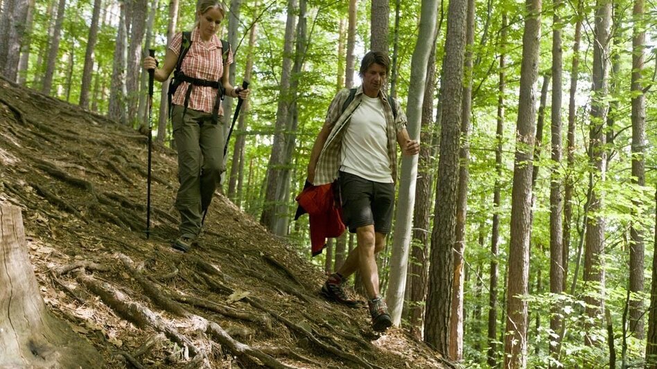 Hiking route Stainzer Warte round trip - Touren-Impression #2.3 | © TVB Südsteiermark/Harry Schiffer