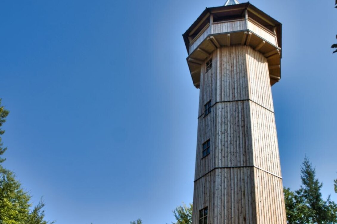 Hiking route Stainzer Warte round trip - Touren-Impression #1 | © TVB Südsteiermark/Weges OG