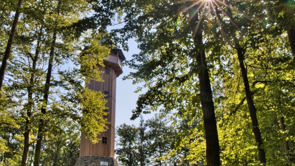 Hiking route Stainzer Warte round trip - Touren-Impression #2.2 | © TV Südsteiermark - WEGES