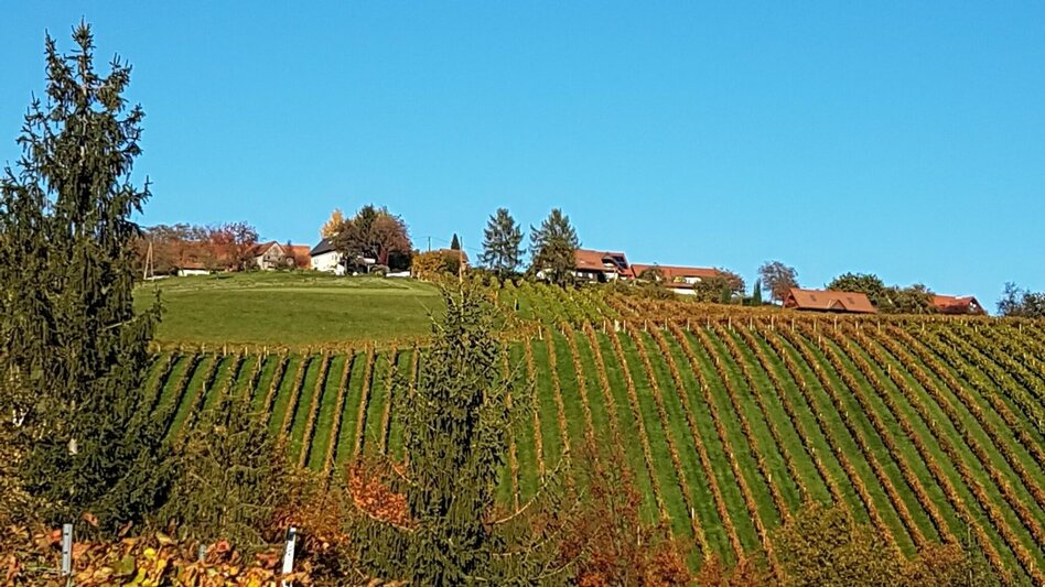Hiking route Marhofer Genusswanderweg - Touren-Impression #2.1 | © Südsteiermark