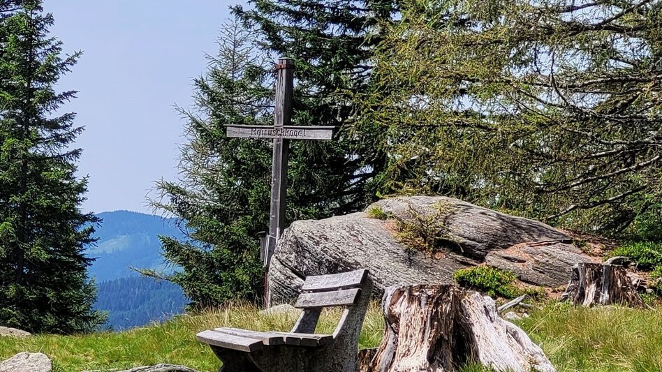 Hiking route Absetzwirt-round over the Reinischkogel - Touren-Impression #2.1 | © TVB Südsteiermark/Irene Löschnig
