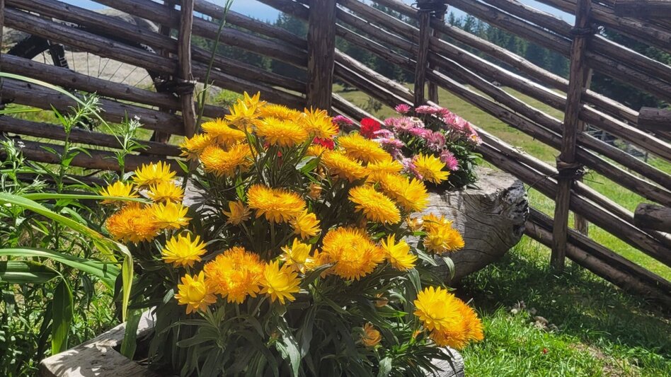 Hiking route Absetzwirt-round over the Reinischkogel - Touren-Impression #2.4 | © TVB Südsteiermark/Irene Löschnig