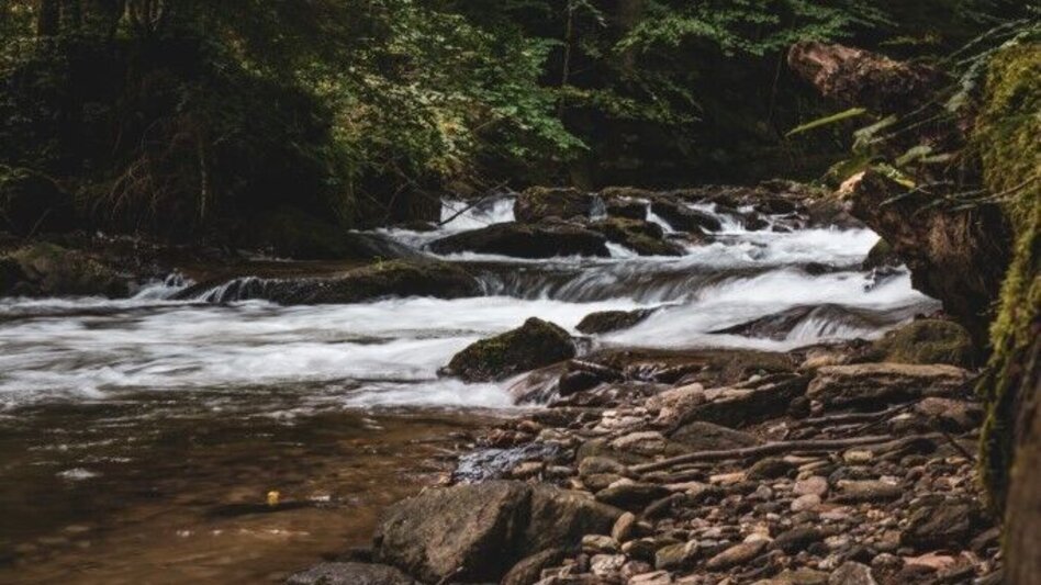 Hiking route Sulmhütten Weg – Tour 42 lt. WK „Von der Alm zum Wein“ - Touren-Impression #2.4 | © TV Südsteiermark/Silvan