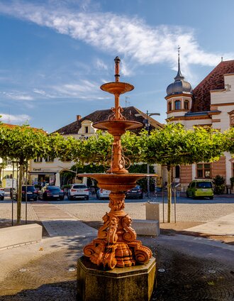 Historischer Brunnen am Hauptplatz Hartberg | Spekner | © Oststeiermark Tourismus