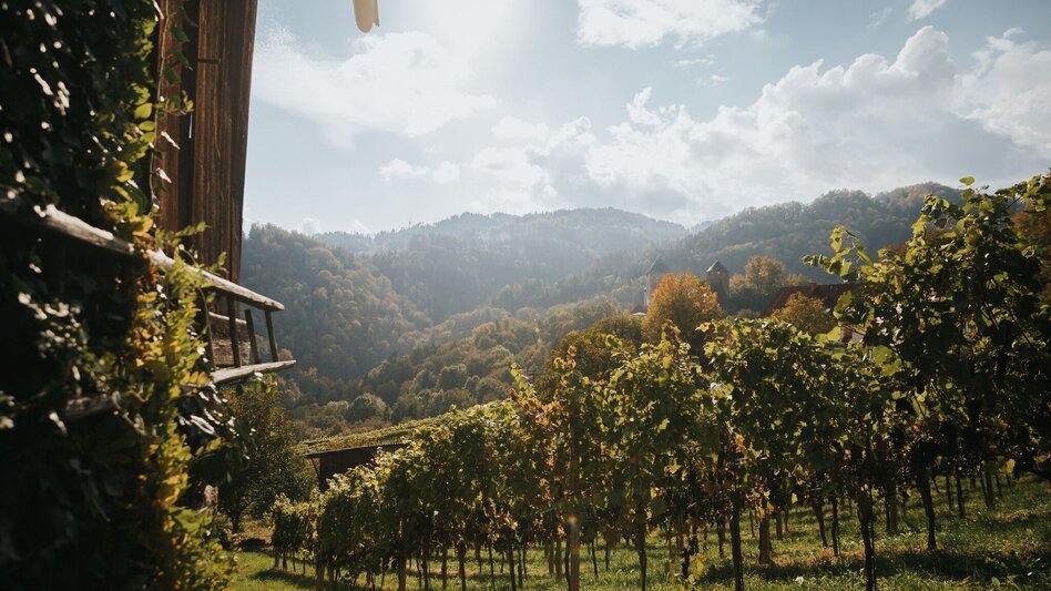 Wanderung Großer St. Stefan Rundweg S1 - Touren-Impression #2.4 | © Schilcherland Steiermark