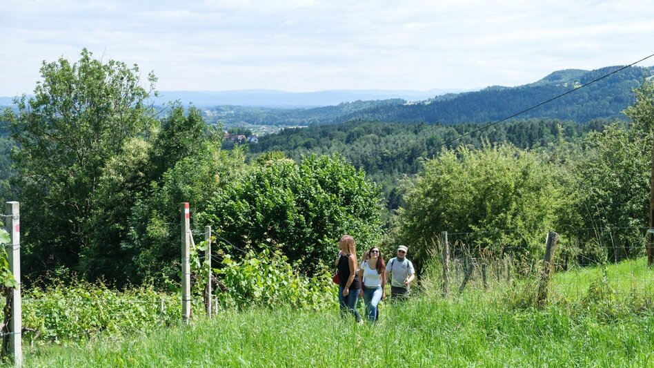 Hiking route Gundersdorf circular route - Touren-Impression #2.1 | © TVB Südsteiermark/Markus Trinkel