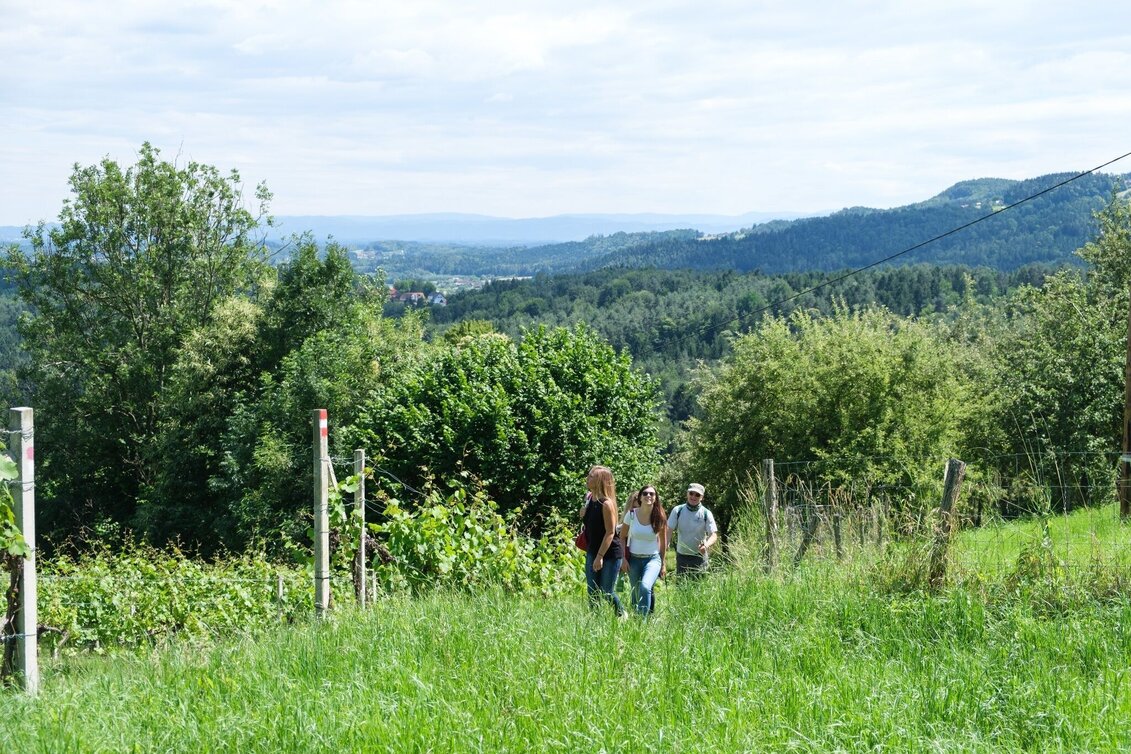 Hiking route Gundersdorf circular route - Touren-Impression #1 | © TVB Südsteiermark/Markus Trinkel