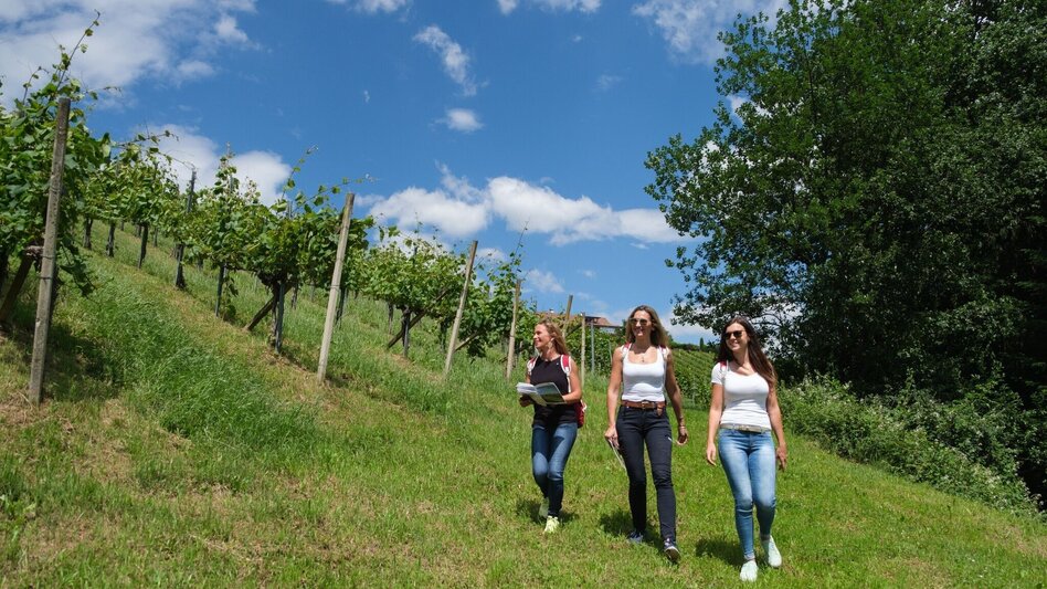 Wanderung Weingarten Erlebnisrundweg S10+GS - Touren-Impression #2.1 | © TVB Südsteiermark/Markus Trinkel