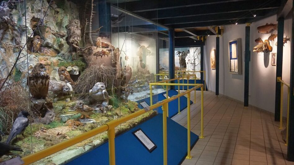 Radfahren Mit dem E Bike zu Kultur und Natur - Touren-Impression #2.5 | © Naturpark Mürzer Oberland