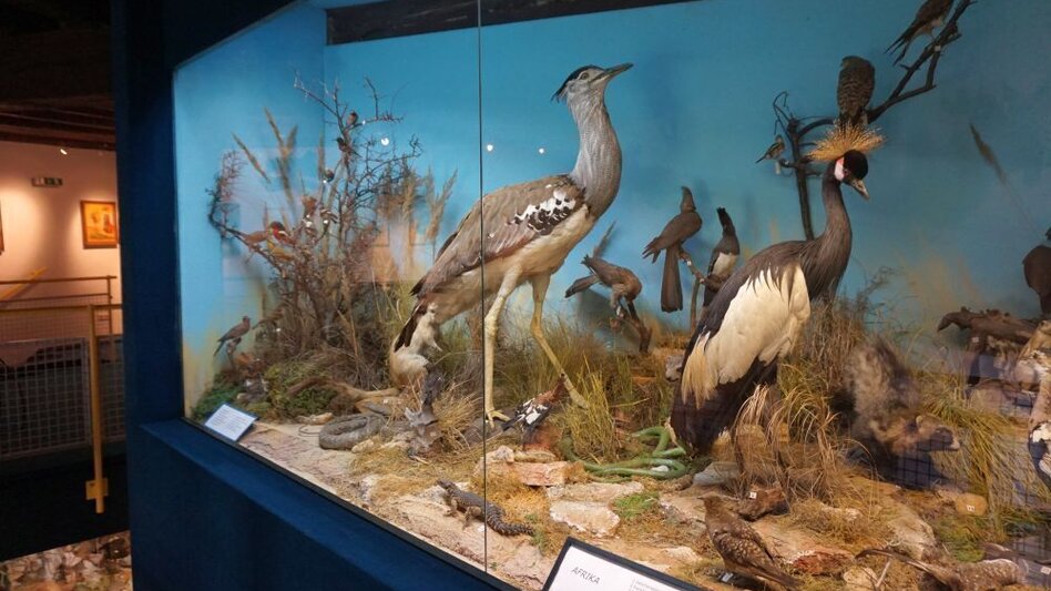 Radfahren Mit dem E Bike zu Kultur und Natur - Touren-Impression #2.6 | © Naturpark Mürzer Oberland
