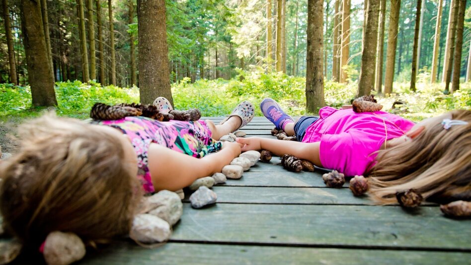 Radfahren Mit dem E Bike zu Kultur und Natur - Touren-Impression #2.11 | © Naturpark Mürzer Oberland
