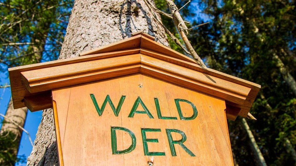 Radfahren Mit dem E Bike zu Kultur und Natur - Touren-Impression #2.14 | © Naturpark Mürzer Oberland