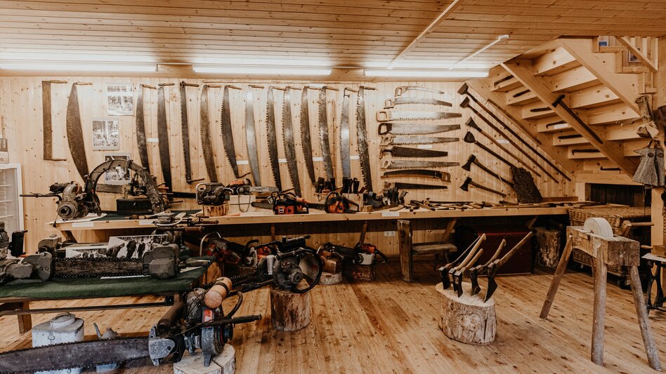 Radfahren Mit dem E Bike zu Kultur und Natur - Touren-Impression #2.18 | © nicoleseiser.at 