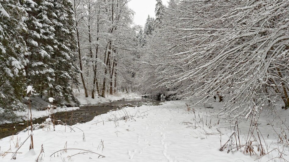 Winter Hiking Winter hike in the small Raabklamm - Touren-Impression #2.4 | © Oststeiermark Tourismus