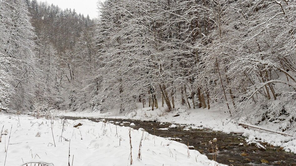 Winter Hiking Winter hike in the small Raabklamm - Touren-Impression #2.5 | © Oststeiermark Tourismus