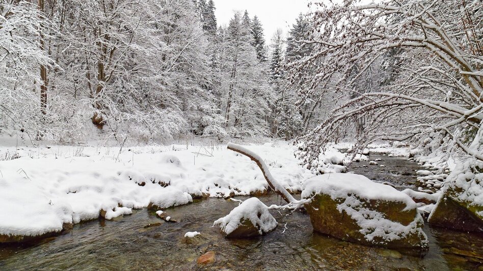 Winter Hiking Winter hike in the small Raabklamm - Touren-Impression #2.6 | © Oststeiermark Tourismus