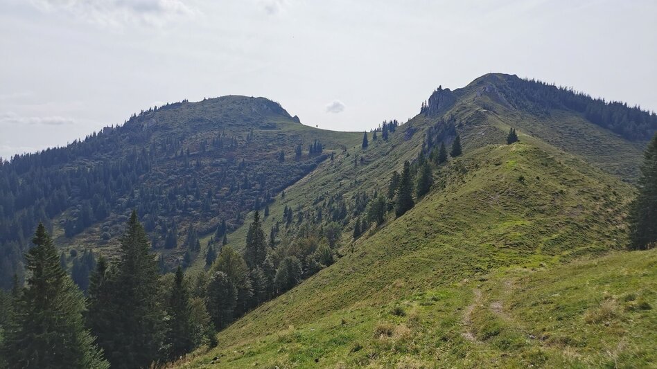 Hiking route On Proles and Königskogel in the Mürzer Oberland Nature Park - Touren-Impression #2.3 | © TV Hochsteiermark