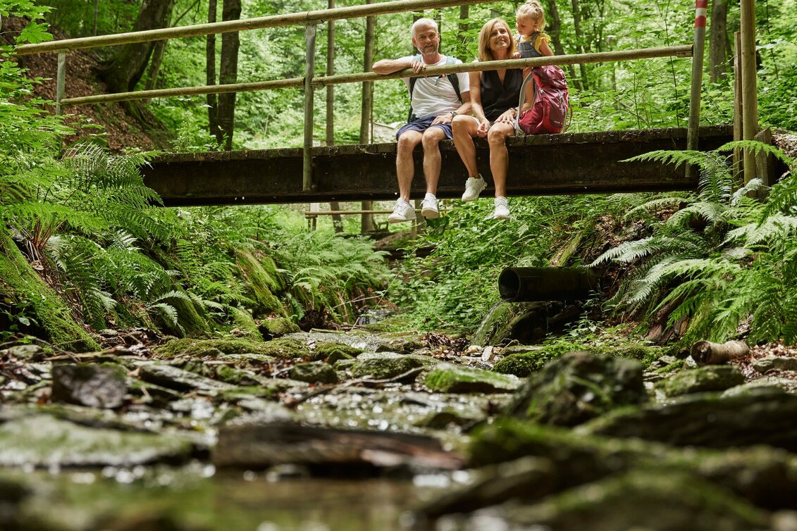 Wanderung Erlebnisberg-Runde mit Bärengraben, Friedberg - Touren-Impression #1 | © Oststeiermark Tourismus