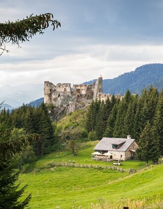 Steinschloss | marygoodfoto | © Tourismusverband Murau