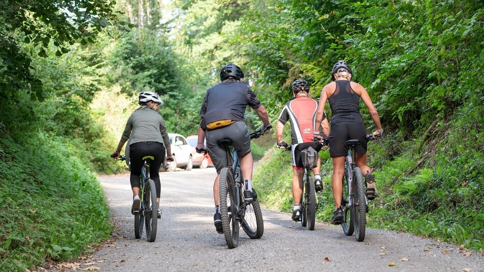 Mountain Biking From Bahnweg to Schweizeben – Tour 1 - Touren-Impression #2.4 | © Hochsteiermark