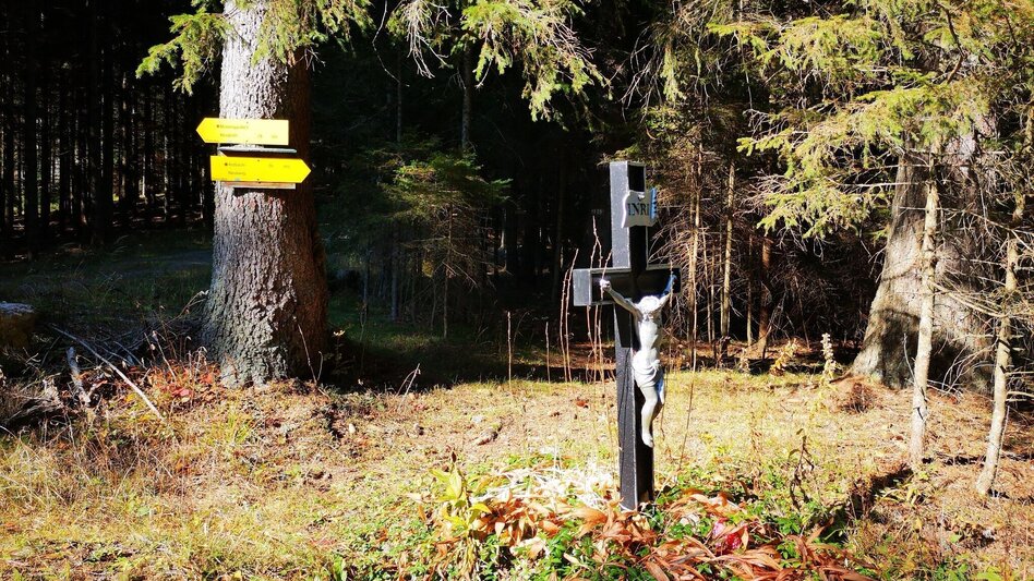 Hiking route Via the Malleistenalm to the Kaarlalm in the Mürzer Oberland Nature Park - Touren-Impression #2.5 | © TV Hochsteiermark