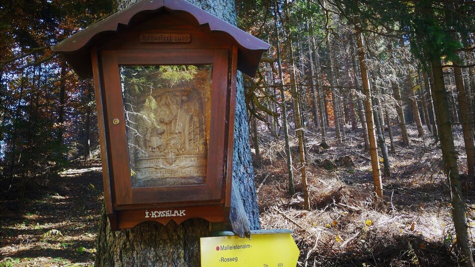 Hiking route Via the Malleistenalm to the Kaarlalm in the Mürzer Oberland Nature Park - Touren-Impression #2.6 | © TV Hochsteiermark
