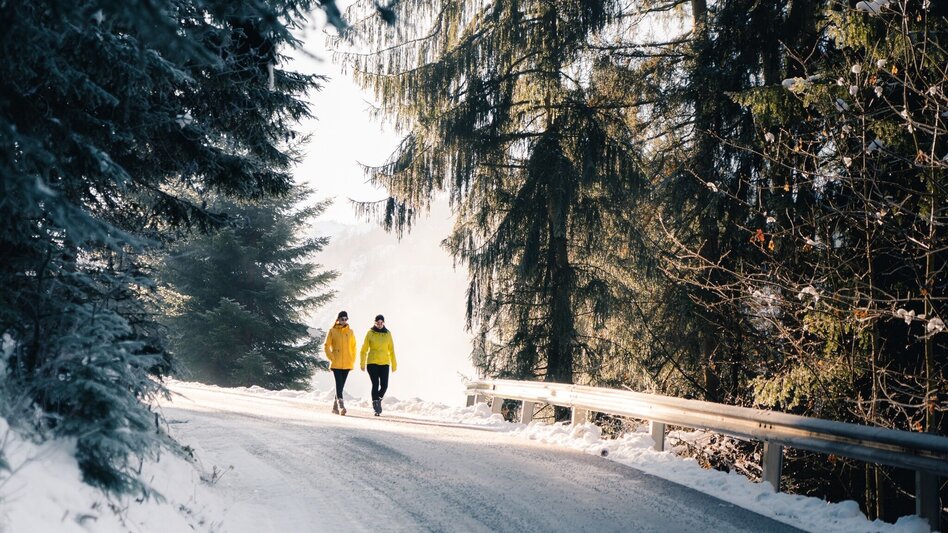 Winter Hiking Winter hike Krapflhof Runde - Touren-Impression #2.1 | © Erlebnisregion Schladming-Dachstein