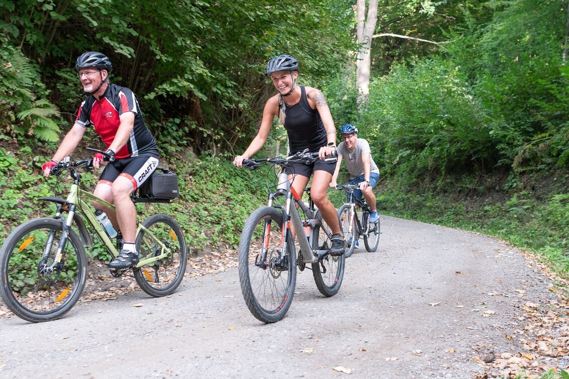 Mountain Biking From Bahnweg to Brucker Hochanger - Tour 4 - Touren-Impression #1 | © Unbekannt