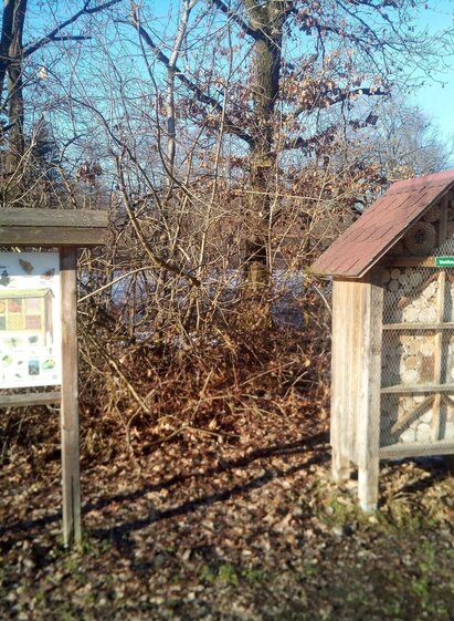 Teichpark Lannach | © TVB Südsteiermark/Martin Niggas | Martin Niggas | © TVB Südsteiermark/Martin Niggas