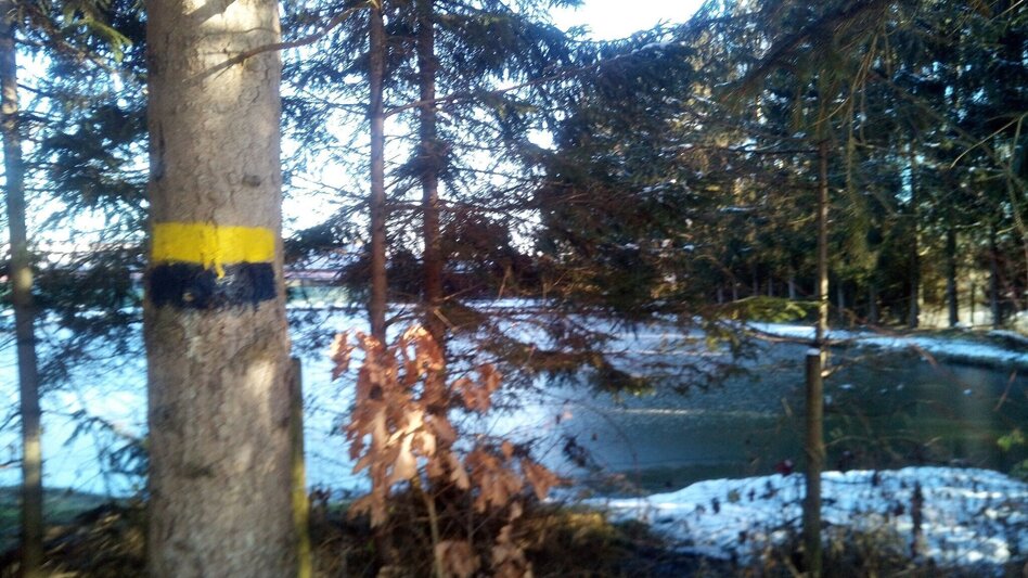 Wanderung Lannacher Wandertour  - Touren-Impression #2.3 | © TVB Südsteiermark/Martin Niggas