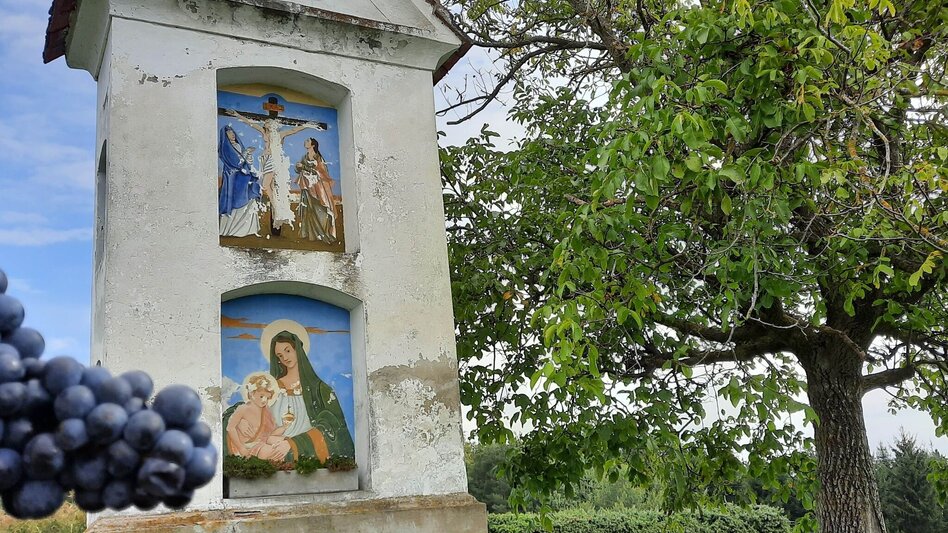 Hiking route From Pischelsdorf to the Kulm - Touren-Impression #2.2 | © Oststeiermark Tourismus