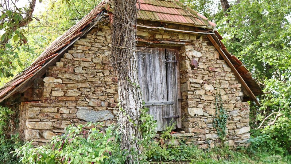 Hiking route From Pischelsdorf to the Kulm - Touren-Impression #2.7 | © Oststeiermark Tourismus