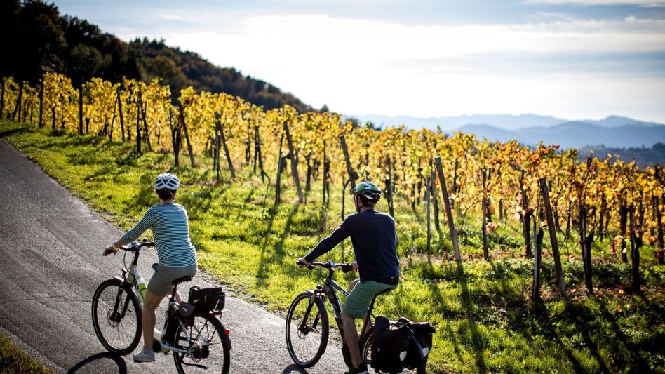 Bike Riding Cycling for pleasure - Wine Road Tour Variant 3 - "Kranachberg-Sernauberg" - Touren-Impression #2.1 | © Südsteiermark